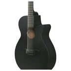 Ibanez AEG1221 Black Out