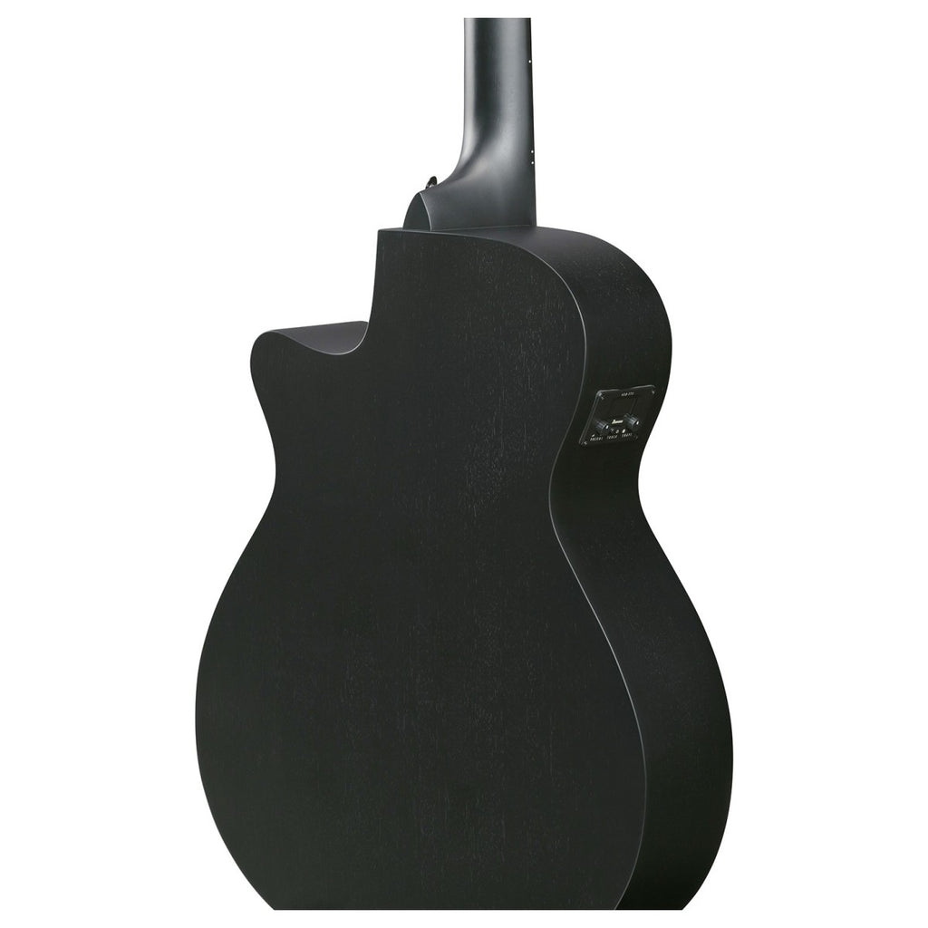 Ibanez AEG1221 Black Out