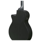 Ibanez AEG1221 Black Out