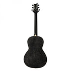 PRS SE P20E Parlor Black Dog Hair Fishman Pickup