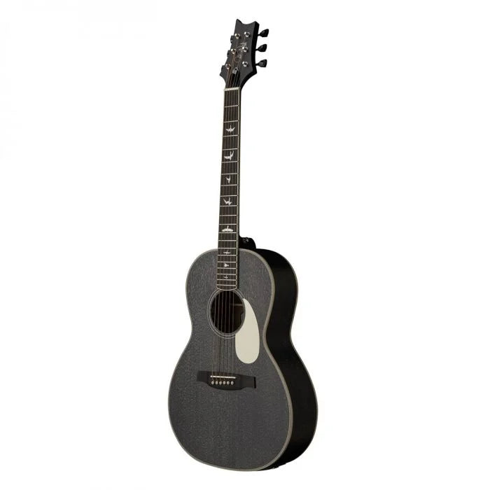 PRS SE P20E Parlor Black Dog Hair Fishman Pickup