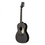 PRS SE P20E Parlor Black Dog Hair Fishman Pickup