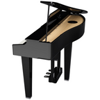 Roland GP3 PE Polished Ebony Pianoforte Digitale 88 Tasti Nero Lucido