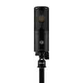 Shure SHURE KSM32C HM