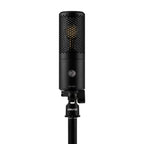 Shure SHURE KSM32C HM