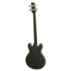 Aria ProII Basso Semiacustico Black