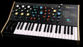Pittsburgh Modular Taiga keyboard