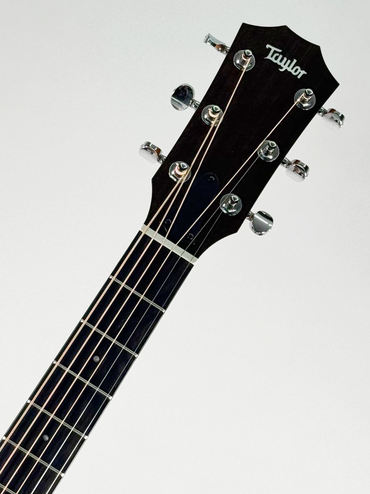 Taylor 24CE