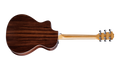 TAYLOR GUITARS 212ce Grand Concert