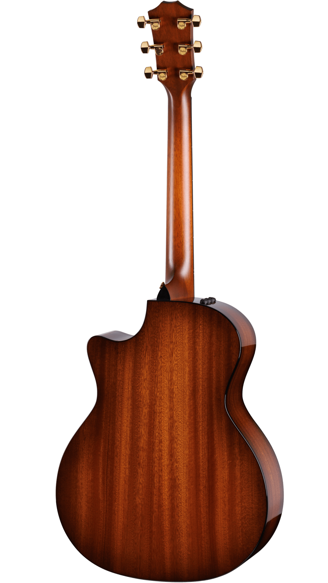 Taylor 314Ce Builder'S Edition Ltd 50th Natural Top