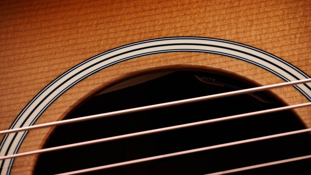 Taylor 517E SB Sunburst Gold Label Cream Pickguard