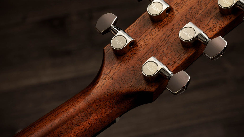 Taylor 517E SB Sunburst Gold Label Cream Pickguard