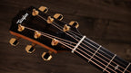 Taylor Sunset Boulevard 117E SEB Sapele Spruce
