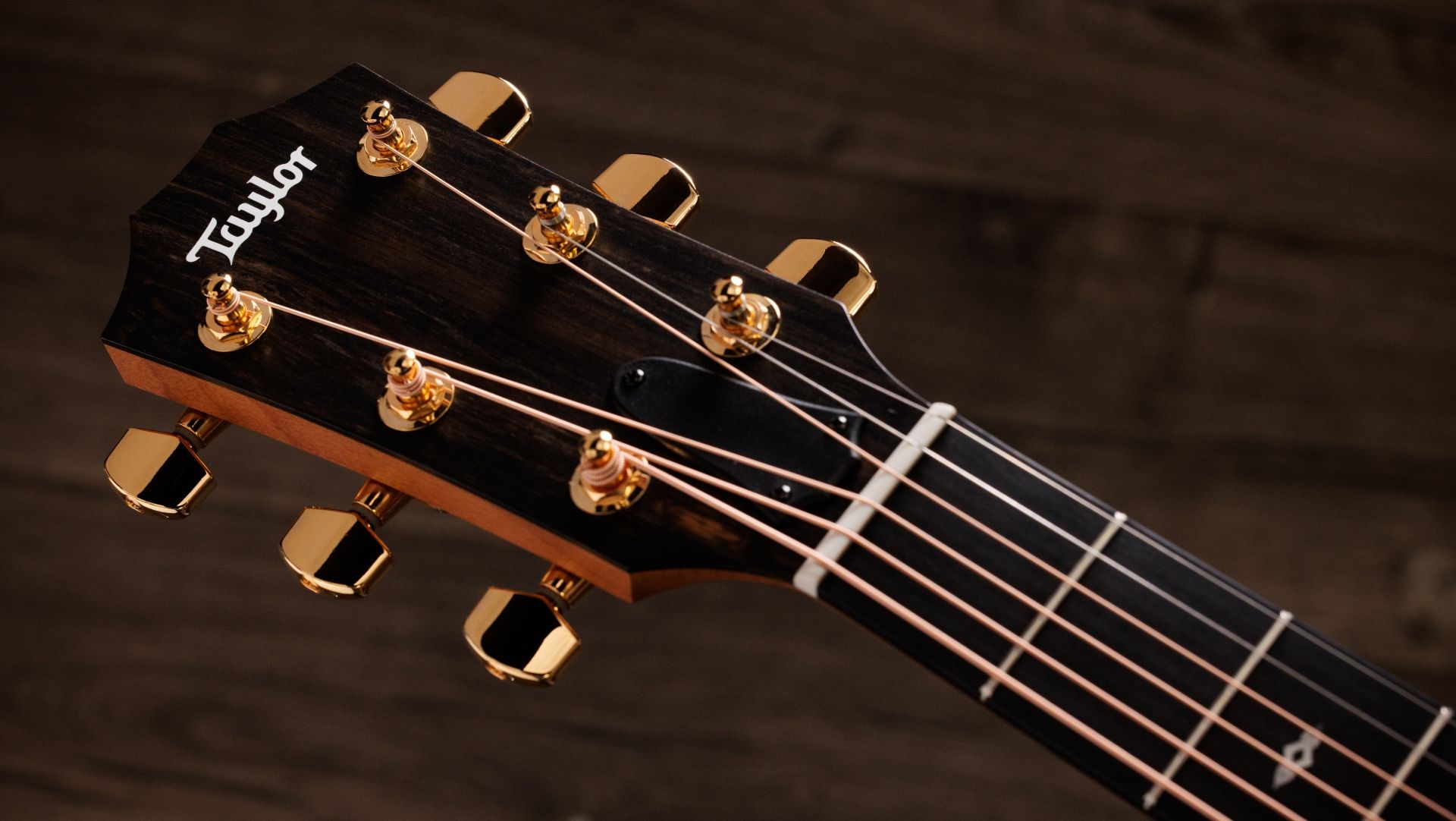 Taylor Sunset Boulevard 117E SEB Sapele Spruce