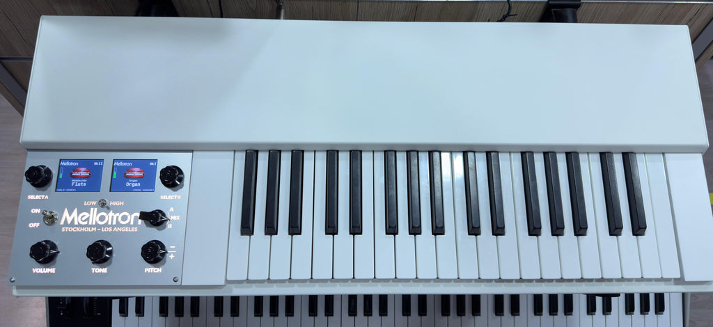 Mellotron M4000D Mini
