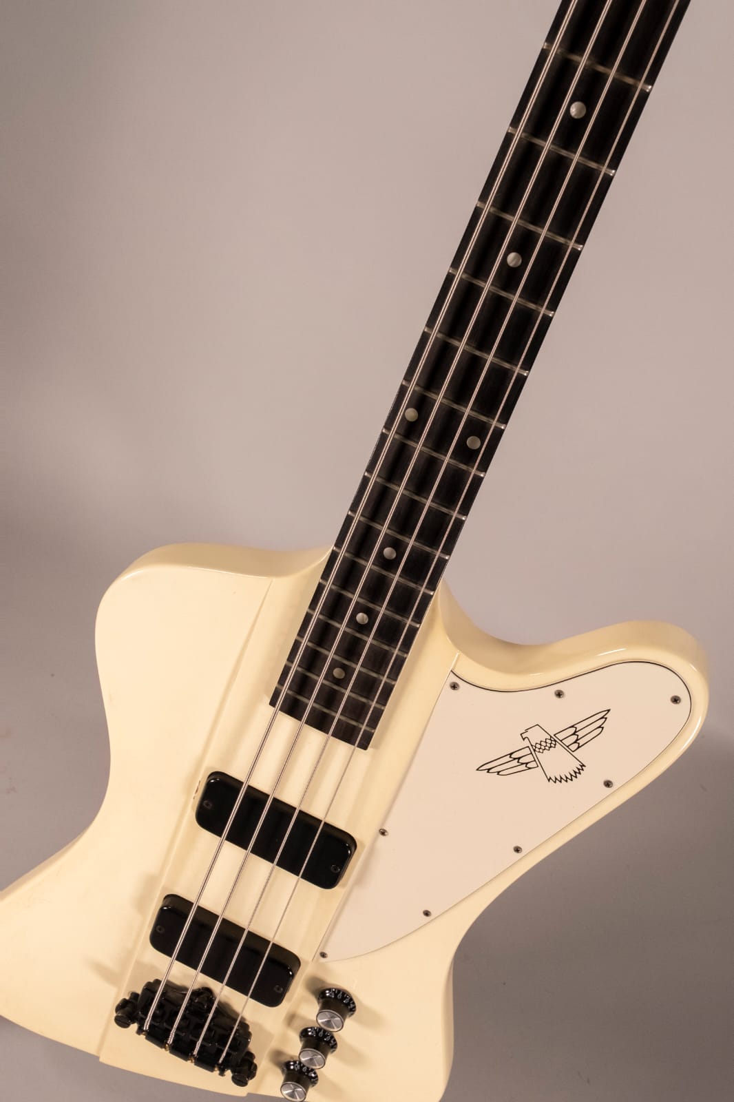 GIBSON THUNDERBIRD USATO