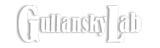 GULLANSKY LAB