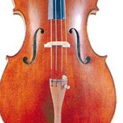 Violoncelli e Viole