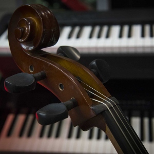 Used Stringed Instruments