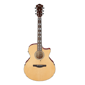 Chitarre Acustiche