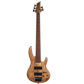 Bassi Fretless