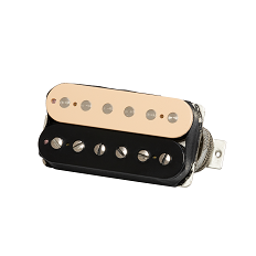 Pickup per Chitarra