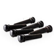 Ponti e Pins per Acustica