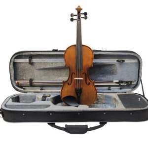 Violini