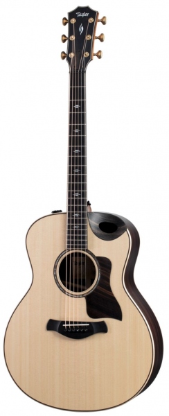 TAYLOR 816CE BUILDERS EDITION