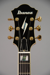 Ibanez Pm200Nt Chitarra Semiacustica Natural con Astuccio