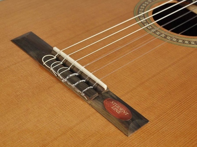 Salvador Cortez Cc10 Chitarra Classica 4/4