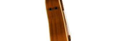 Fender Malibu Player Walnut Fingerboard Gold Pickguard Sunburst