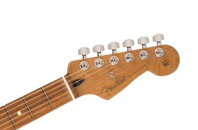 Fender Player Stratocaster Limited Edition Pau Ferro Black