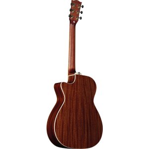Eko Guitars Tri A300ce