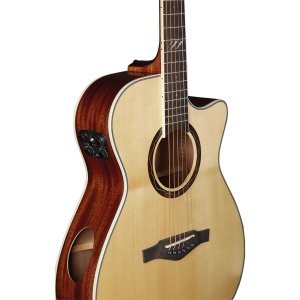 Eko Guitars Tri A300ce