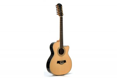 Riccardo Zappa Signature 12 corde