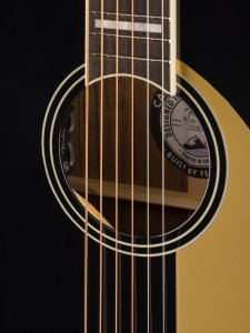 Fender Malibu Vintage Gold Pickguard Black w/case