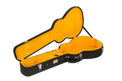 Fender Malibu Vintage Gold Pickguard Black w/case