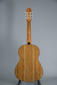 Raimundo 120E Cedar Chitarra Classica Elettrificata Fishman