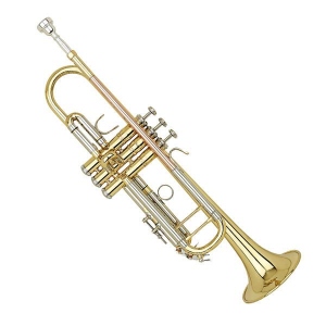 Wisemann Dtr250 Tromba Standard Con Astuccio