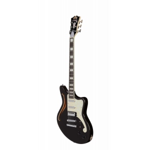 D'Angelico Bedfod SemiHollow Black Flake