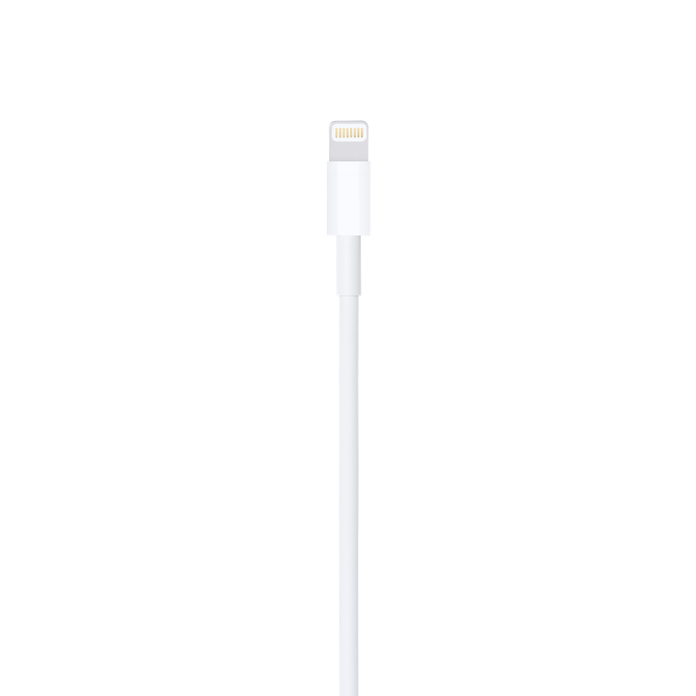 Apple Lighting To Usb Cavo 2 Mt