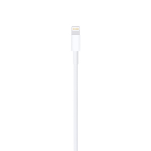 Apple Lighting To Usb Cavo 2 Mt