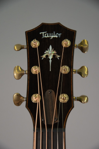 Taylor Custom Ga Mahogany #41