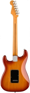 Fender Player Plus Stratocaster Pao Ferro Sienna Sunburst