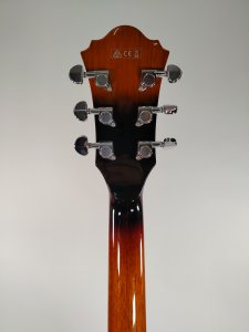 IBANEZ AG75 USATA