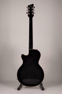 Duesemberg Starplayer Usata