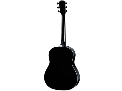 Taylor 217-E Black Plus Maple Spruce