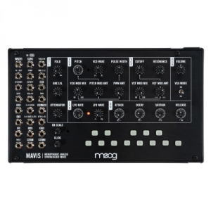 Moog Mavis Analog Synth