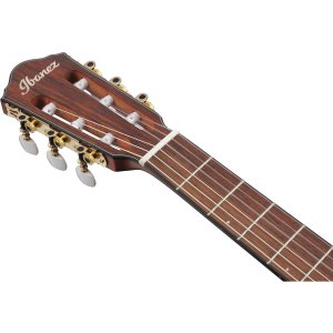 Ibanez FRH10N Rose Gold Metallic Flat